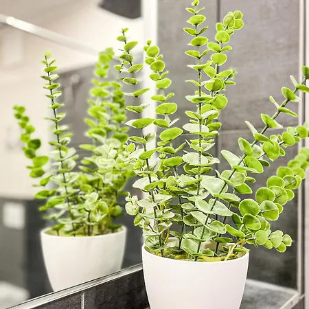 Baltischer Hof 13 Apartmán